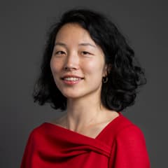 Official portrait of Yuan Yang